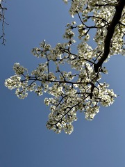 2E367C62-9D7A-4D4F-AF87-AE01125EE663/L0/001
