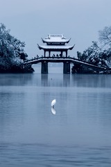 独立寒潭