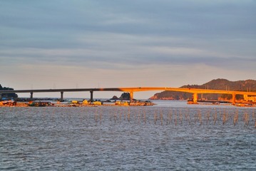 495012