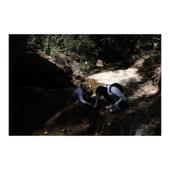 91CD186D-F5AD-46CC-A6D8-12E76CF30EF6/L0/001