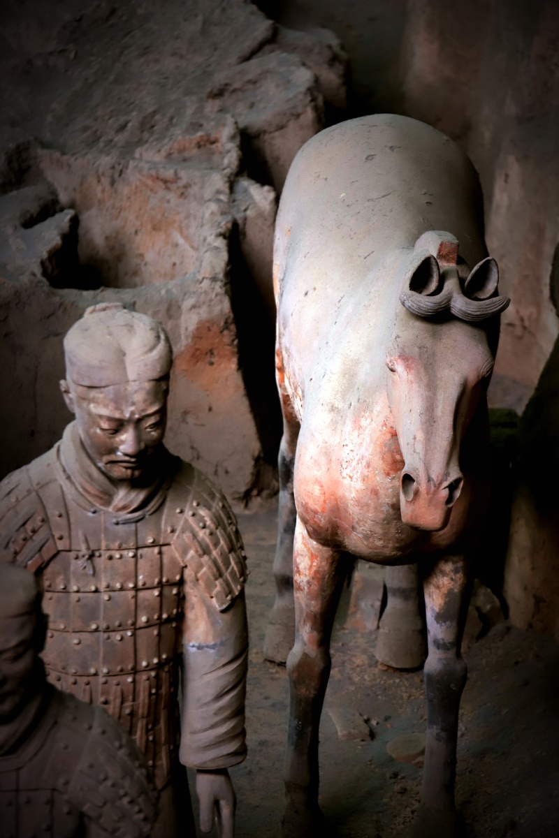 秦始皇陵兵马俑之马俑这马壮硕威武