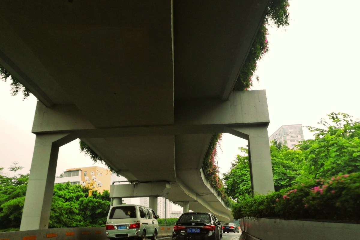 高架桥,也是广州城市道路建设的标配之一