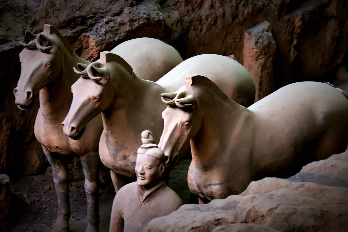 秦始皇陵兵马俑之马俑这马壮硕威武