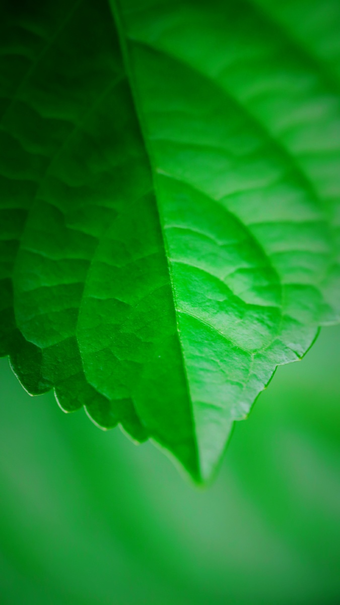 675_1200竖版 竖屏