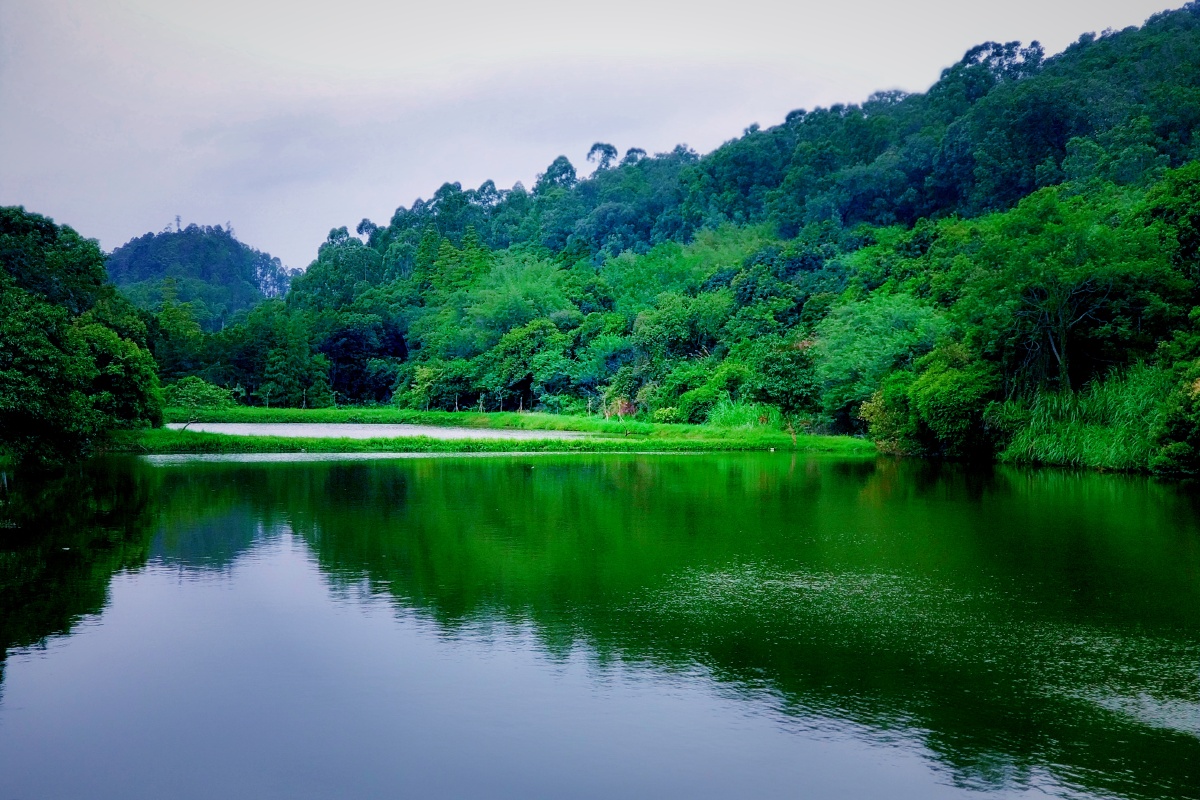 雨后美丽大夫山绿水青山就是金山银山