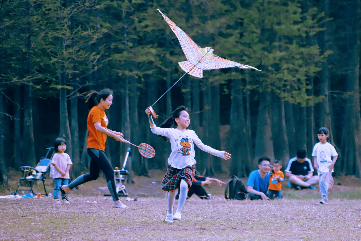 儿童散学归来早忙趁东风放纸鸢