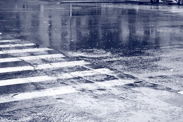 1000031419