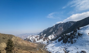 1000067858