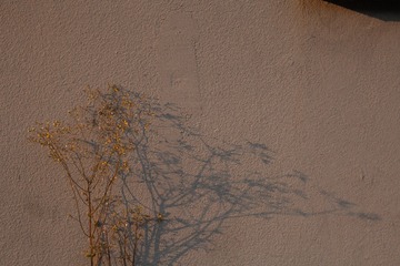 349584