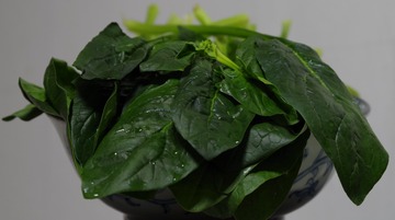 菠菜系列4