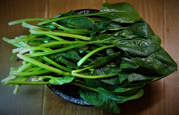 菠菜系列2