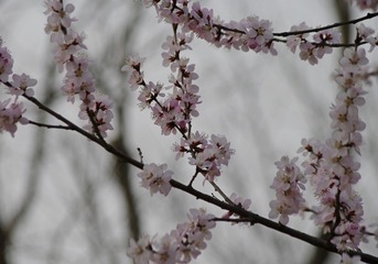 006226C1-D800-41B0-A3B0-CC3A14BE8D27/L0/001