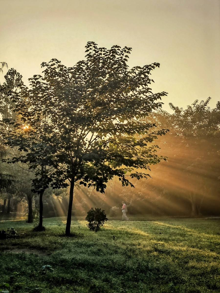 清晨太阳61光芒四射