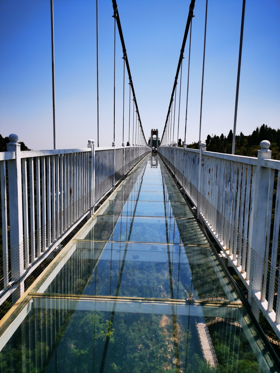 索桥社区展开生态环境维护宣扬活动