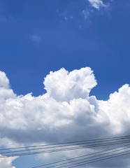 181C8BA5-E991-4545-A9FB-70D2A8D5D8DF/L0/001