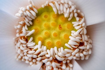 39601