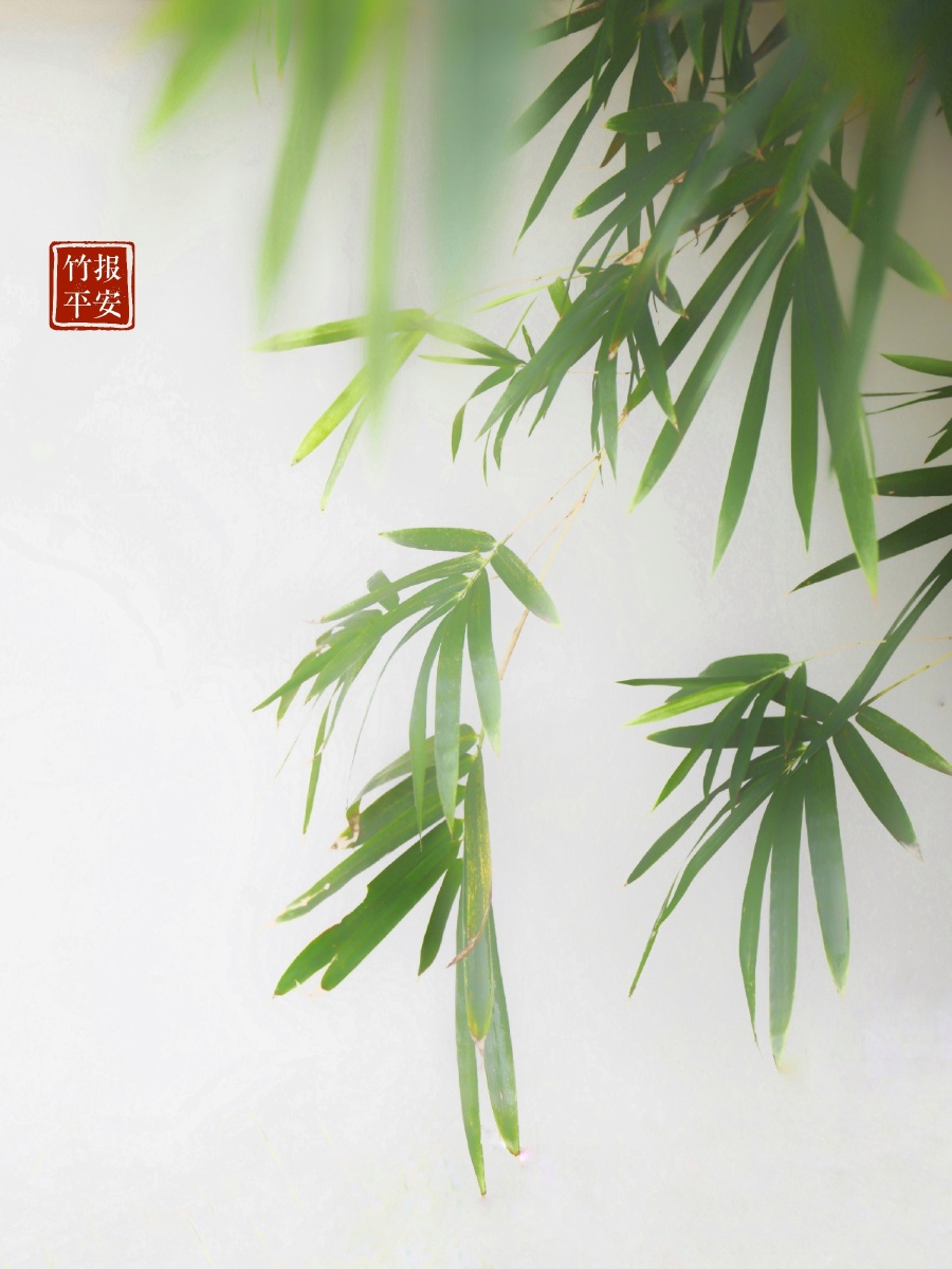 竹报平安169