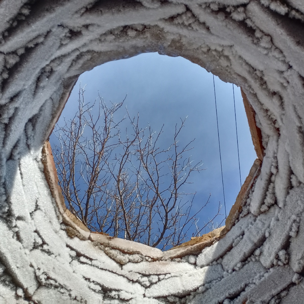 有时候井底之蛙的世界也不全是无趣,坐井观天时也会捕获美好.