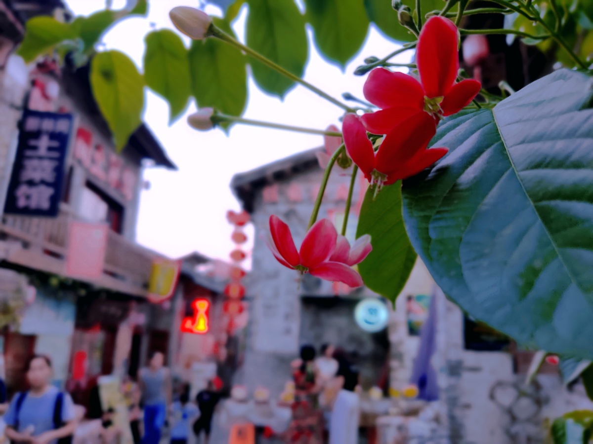 小花花古巷虚化后景
