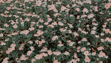 F3F84F78-594A-4513-AE88-6E73C5119486/L0/001