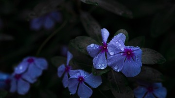 6F58460E-D217-4774-A2A7-24DE170C5624/L0/001