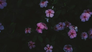 8F3EBEF3-C180-453B-A763-8C35DA49E6C0/L0/001