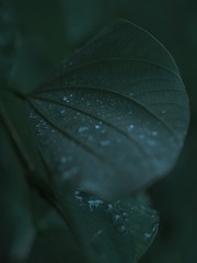 258065