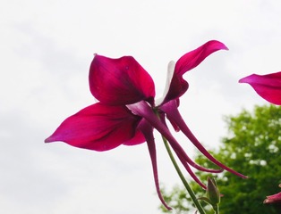 7B728505-3B0E-4925-8D35-D2DA400BBF6E/L0/001