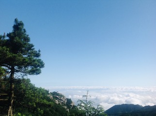 CC8613D8-A35C-4F50-A8E8-A96BB4F09133/L0/001