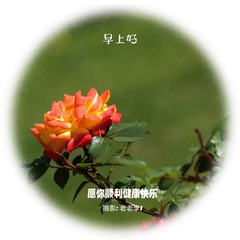 676338