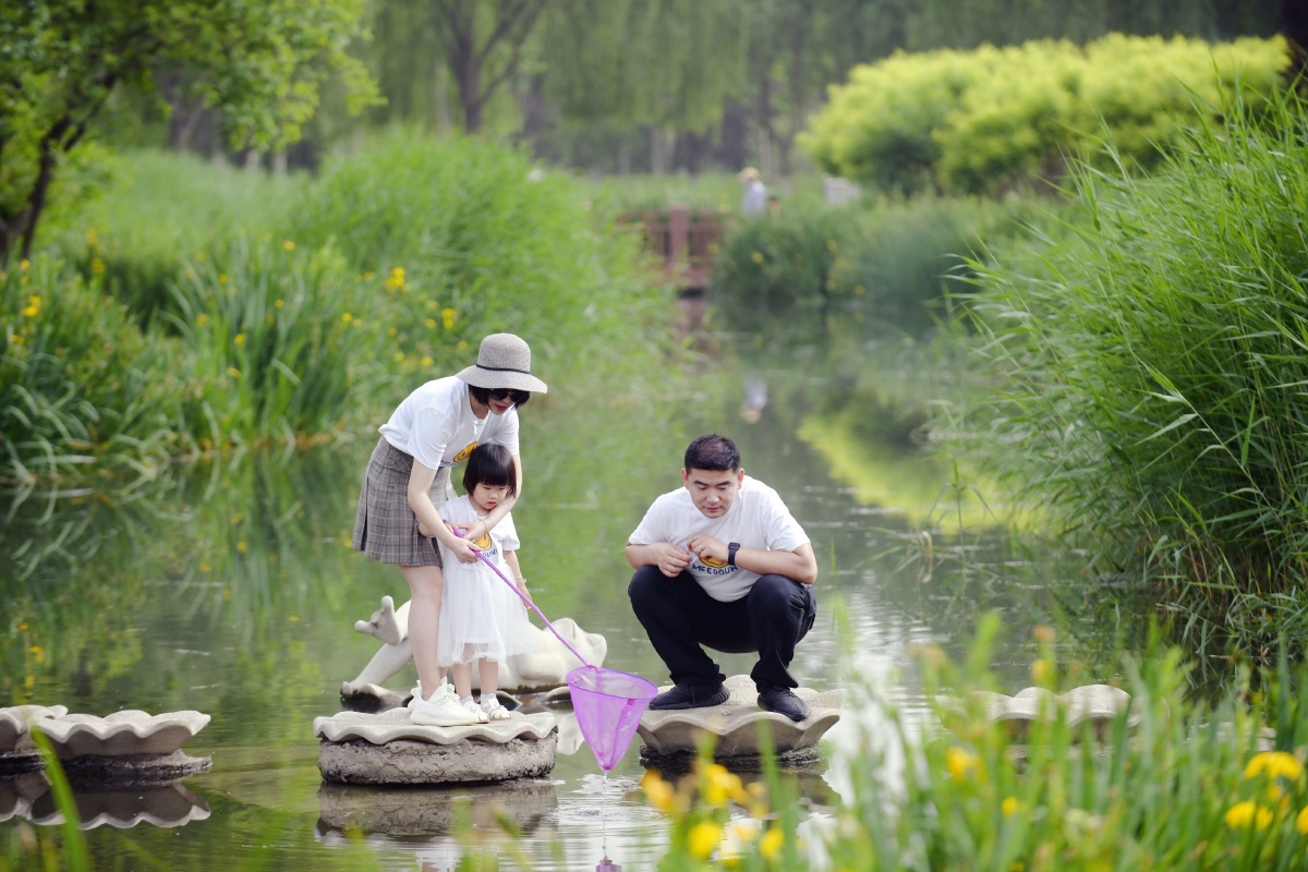 公园的一条小河亲子时光美好童年