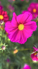 BDB5DDAC-E75D-4E31-B70C-3D2BD6377DB5/L0/001