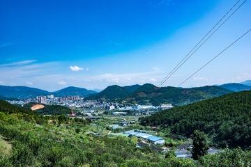 384517