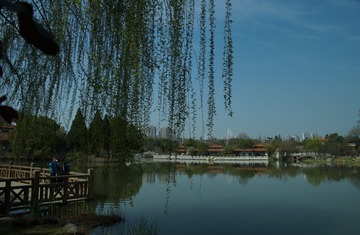 174081