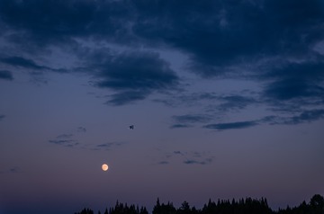 1224257