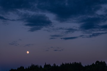 1224258