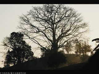 C688F210-5A6C-4314-B3C8-C8BDAE18C252/L0/001