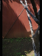 6AA1E393-ABB8-4EB8-BDFE-2F2875C994F5/L0/001
