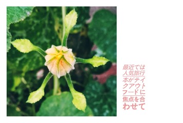 1707628