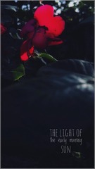 1504942