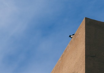 _DSC0661