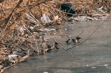 _DSC0725