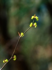 920154