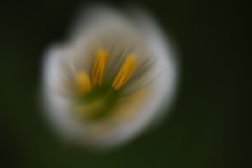 1230834