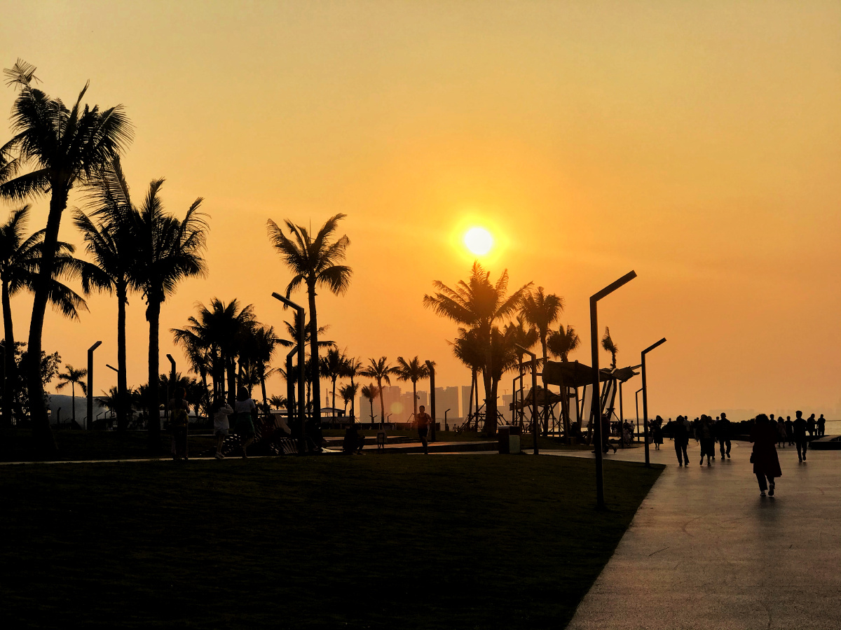 海口世纪公园之日落