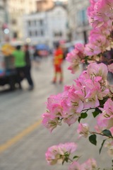 C9624676-F001-48F4-9EF4-A626D7D96E0F/L0/001