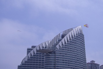 7253216