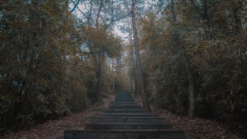 5576377