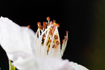 261783