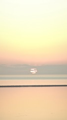 1000107872